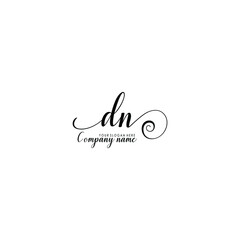 Obraz na płótnie Canvas DN Initial handwriting logo template vector 