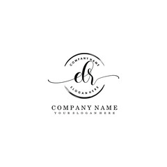 DR Initial handwriting logo template vector
