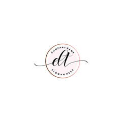 DT Initial handwriting logo template vector
