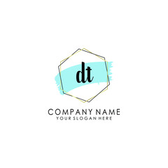 DT Initial handwriting logo template vector
