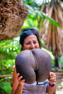 Happy woman holding famous coco de mer fruit in the Seychelles