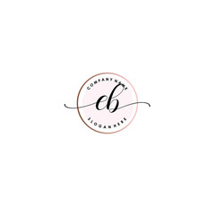 EB Initial handwriting logo template vector
