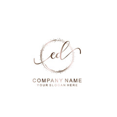 ED Initial handwriting logo template vector