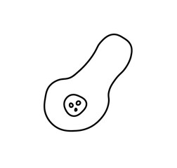 Vector half of pumpkin with a black line.Simple food and cooking illustration in doodle style on a white isolated background hand drawn.Design for social networks,web,advertising,menus,recipes.