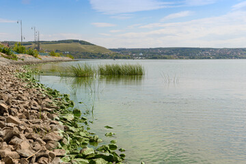 Rocky river Bank covered with greenery due to 