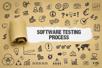 Software Testing Process 