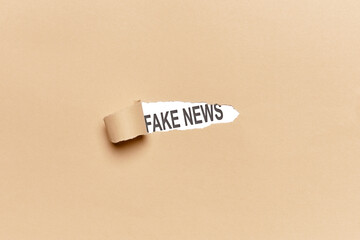 Broken brown cardboard and the word FAKE NEWS appears below