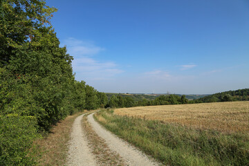 Fototapeta na wymiar Summer landscape with field road and blue sky
