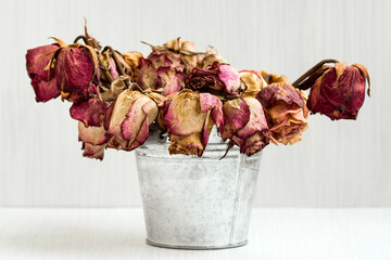 Bouquet of dead withered  roses in aluminium bucket