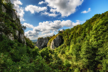 Dolina Bolechowicka, małopolska, jura krakowsko-częstochowska, lato, turystyka © Tomasz