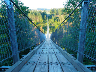 Geierlay suspension rope bridge