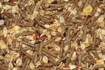 Alimentation pour vieux chevaux