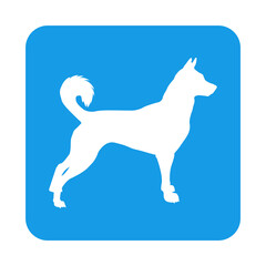Razas de perros. Silueta de perro nórdico en cuadrado color azul