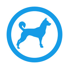 Razas de perros. Silueta de perro nórdico en círculo color azul