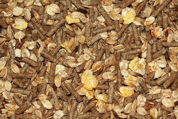 Alimentation pour vieux chevaux