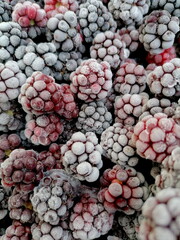 gefrorene Brombeeren