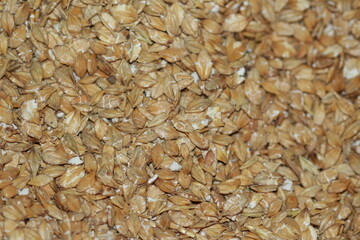 Aliment pour chevaux