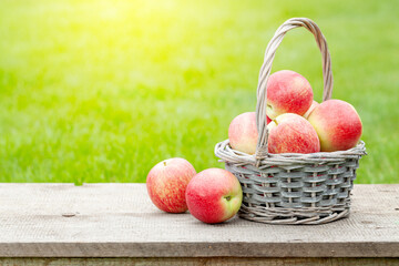Ripe garden apple fruits in basket