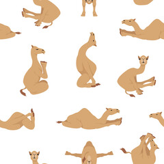 Fototapeta na wymiar Camelids family collection. Dromedary camel yoga seamless design