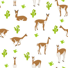 Camelids family collection. Vicuna graphic design