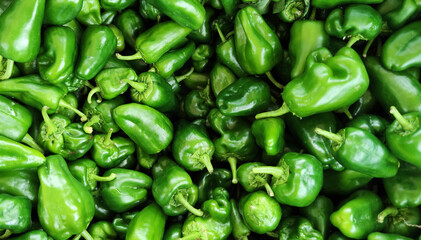 Naklejka na ściany i meble green peppers
