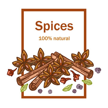 Spices card, vector illustration