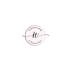 IV Initial handwriting logo template vector