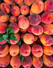 Traditional products, Armenia, Middle East