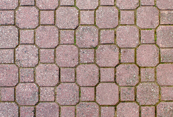 road paved with brown sidewalk tiles. texture of light brown bricks.