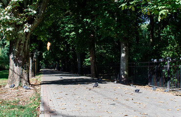 city alley on an autumn day