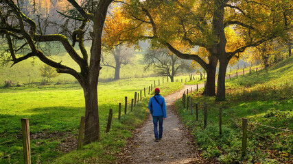 Man enjoying a relaxing walk through beautiful countryside