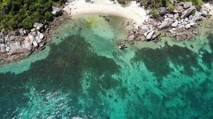 Bungalows and green coconut palms on tropical beach. Cottages on sandy shore of diving and snorkeling resort on Koh Tao paradise island near calm blue sea on sunny day in Thailand. Drone view.