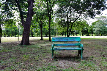 Alone Green Park bench in the shady garden