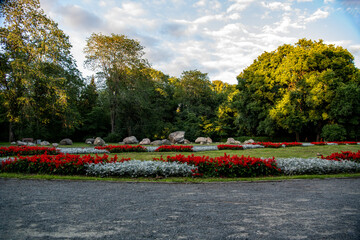 landscape in a city park in summer at sunset