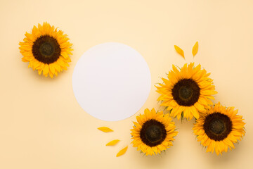 Beautiful fresh sunflowers with leaves on yellow background.