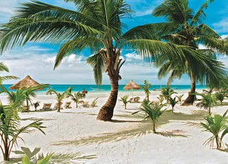 Papier Peint photo Plage blanche de Boracay Paradis propre presque vide White Beach de l& 39 île de Boracay avec de nombreux cocotiers lors d& 39 une journée ensoleillée avec ciel bleu, Aklan, Visayas, Philippines,