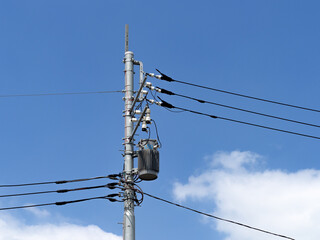 電線と電柱