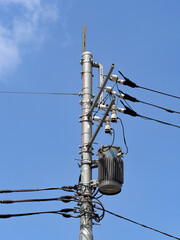 電線と電柱