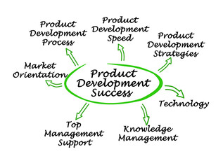  What Lead to Product Development Success