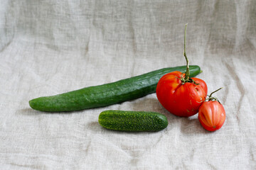 Tomaten und Gurken aus dem eigenen Garten, Gemüse selber anbauen und gesund leben, nachhaltiges...