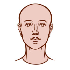 Hand drawn model of androgynous human head in face. Colored outline vector drawing isolated on white background.
