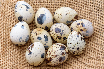 Fototapeta premium Quail eggs on top of a hemp fabric