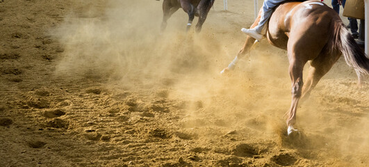 Cavalli al galoppo al Palio di Asti 