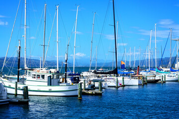 Obraz premium Sailing boats lined up at city centre marina in Wellington, New Zealand. Selective focus