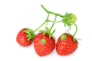 Strawberry isolated on white background. Fresh berry with clipping path and full depth of field