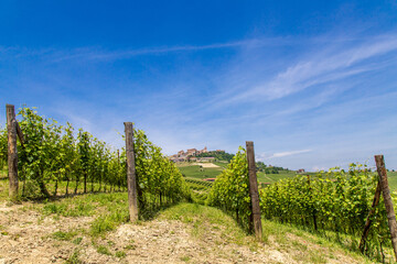 I vigneti di La Morra nelle Langhe