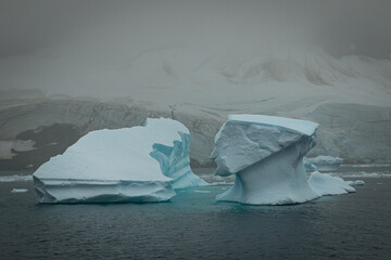 Icebergs at Port Charcot, Antarctica