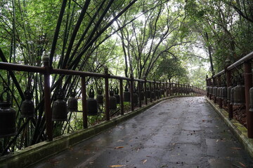 Obraz premium A path in the forest and a small bell beside the path.