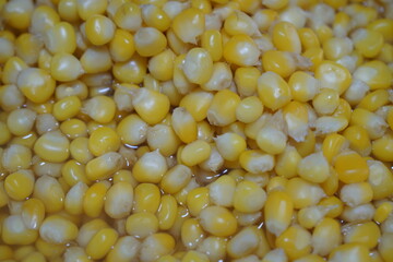 Close-up to corn with butter. It is a snack menu of street food in Thailand.