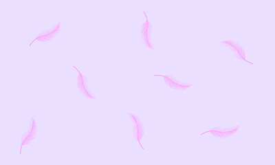 Feather soft tone on Sweet tone background